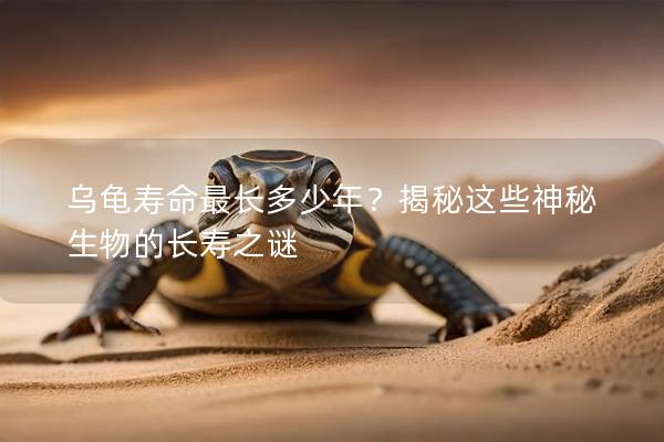 乌龟寿命最长多少年？揭秘这些神秘生物的长寿之谜