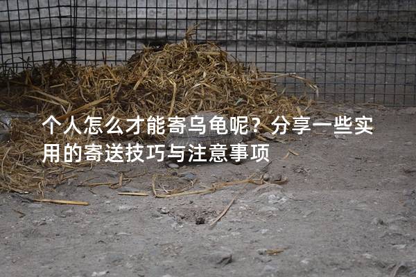 个人怎么才能寄乌龟呢？分享一些实用的寄送技巧与注意事项