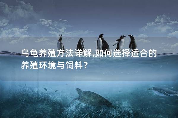 乌龟养殖方法详解,如何选择适合的养殖环境与饲料？