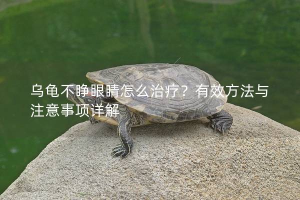 乌龟不睁眼睛怎么治疗？有效方法与注意事项详解