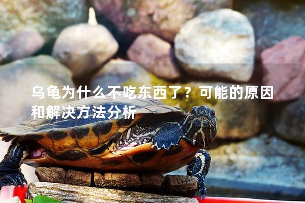 乌龟为什么不吃东西了？可能的原因和解决方法分析