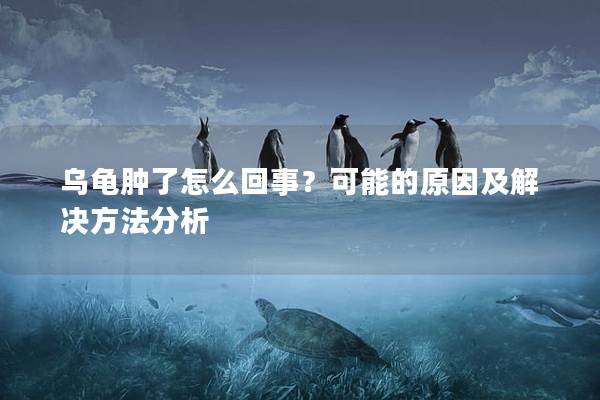 乌龟肿了怎么回事？可能的原因及解决方法分析