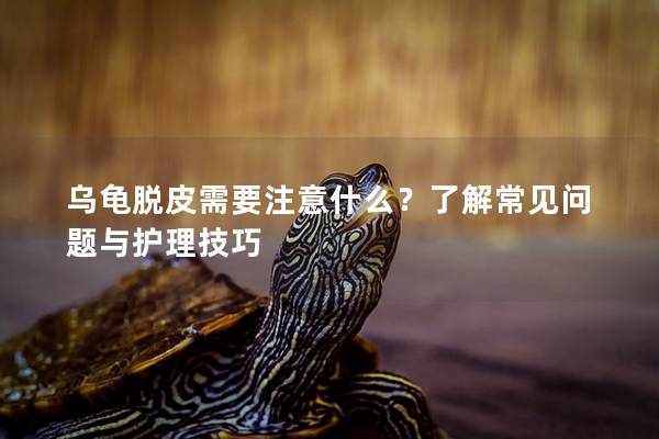 乌龟脱皮需要注意什么？了解常见问题与护理技巧