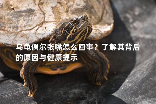 乌龟偶尔张嘴怎么回事？了解其背后的原因与健康提示